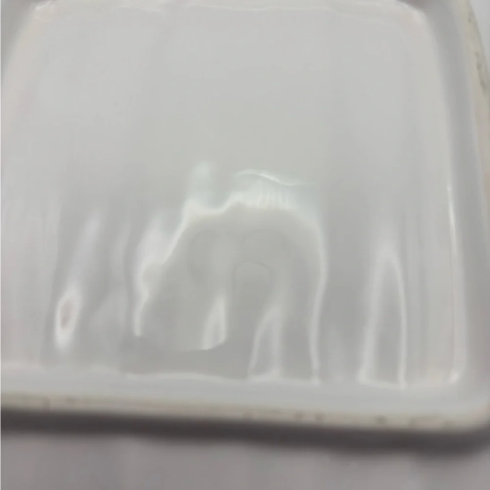 White Asparagus Ceramic Tray/Plate